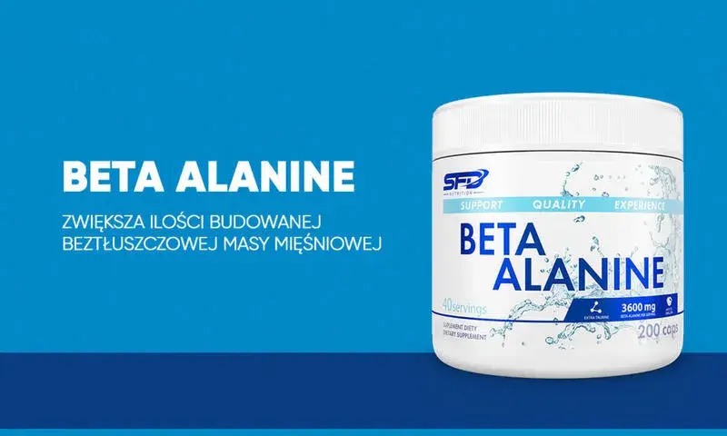 Beta alanina przed treningiem: jak i kiedy stosować, by uniknąć zmęczenia mięśni